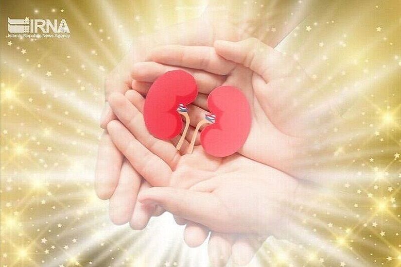 اهدای اعضای حیاتی یک نوجوان قمی دچار مرگ مغزی