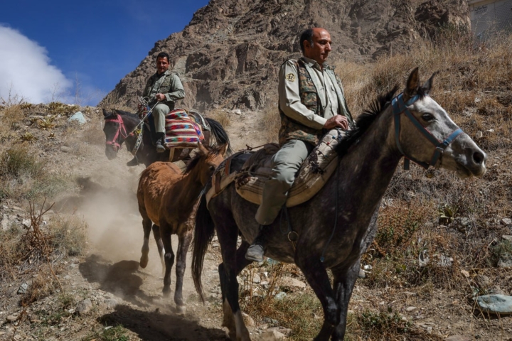 روایت عاشقی محیطبانان و طبیعت/ از گلوله داغ تا مواجهه با خرس