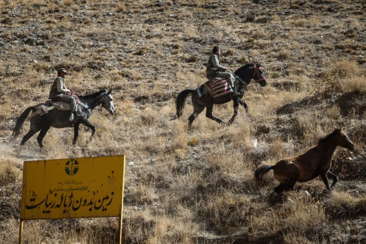 روایت عاشقی محیطبانان و طبیعت/ از گلوله داغ تا مواجهه با خرس