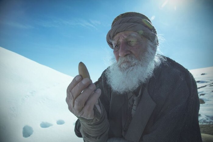 یک انتصاب در بنیاد سینمایی فارابی/«زیر سایه بلوط» در جشنوارههای بلاروس و ایتالیا