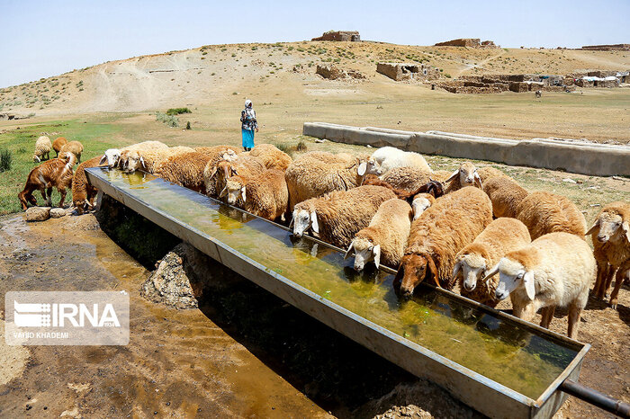 عشایر خراسان شمالی و روزگار تلخ خشکسالی