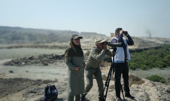 اجرای تمرین پدافند غیرعامل و مقابله با آنفلوآنزای پرندگان در قشم 