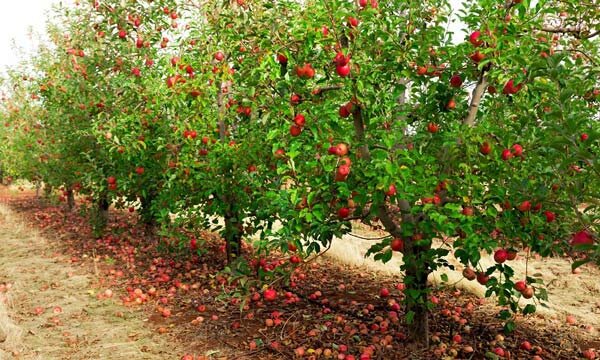 روستاهای آذربایجان‌غربی؛ جاذبه‌هایی زیبا که داستان‌های کهن روایت می‌کنند