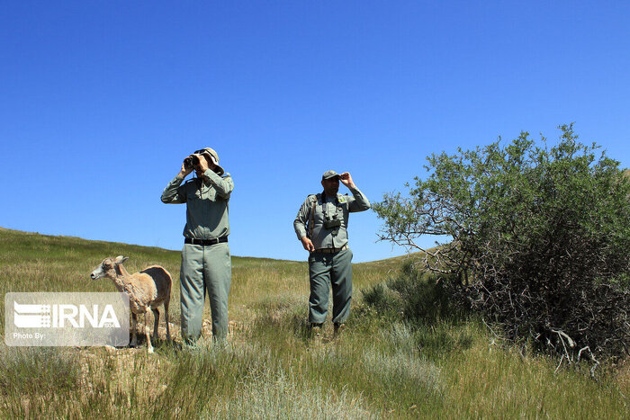 پاسداری از بهشت ایران؛ از جان‌گذشتگی محیط‌بانان فارس