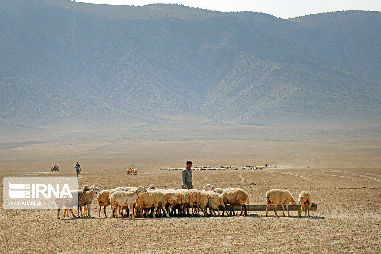 پیامدهای تغییر ساختار سازمانی عشایر برای این قشر تبیین شود