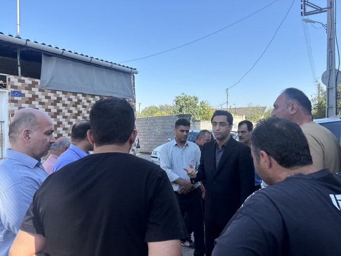 محموله دام زنده بیمار و قاچاق در مازندران کشف شد