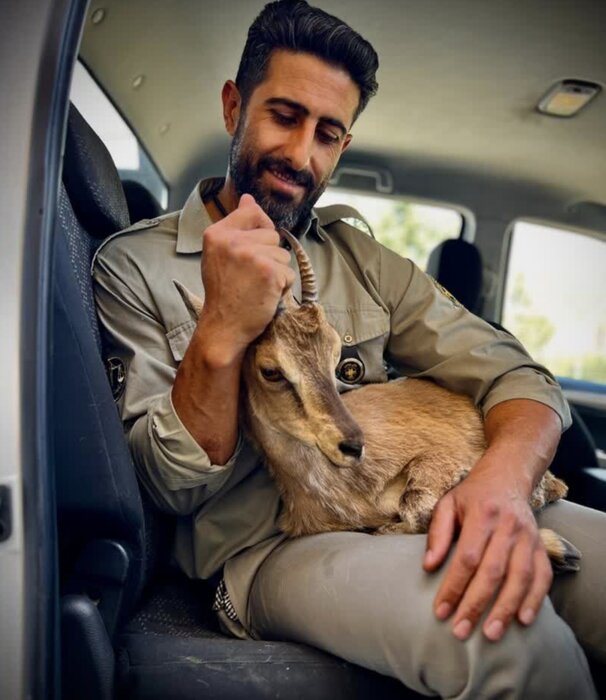 التیام دهندگان زخم های محیط زیست / خاطرات خوب در حفظ حیات وحش خلاصه می شود