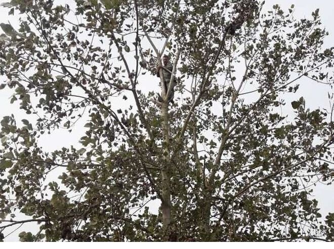 محیط بانان طبیعت گیلان کم شمار اما پرتعهد