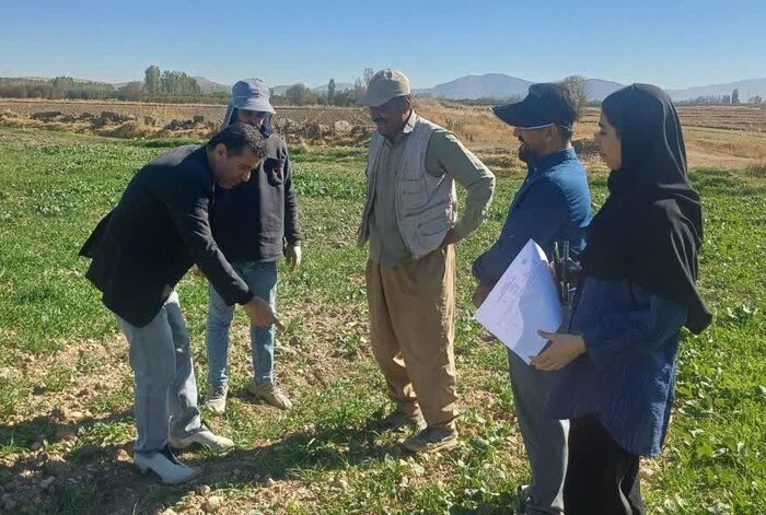 آتش پسچرای مزارع در خرمن طبیعت