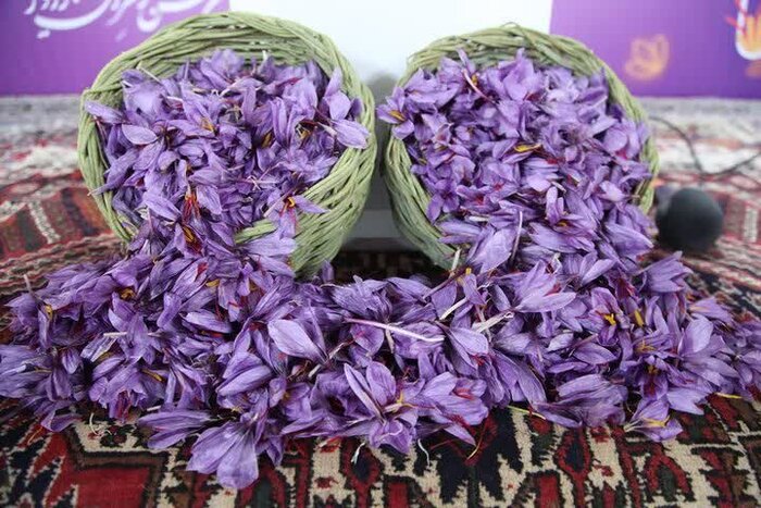 نشان ملی زعفران راویز ثبت شود