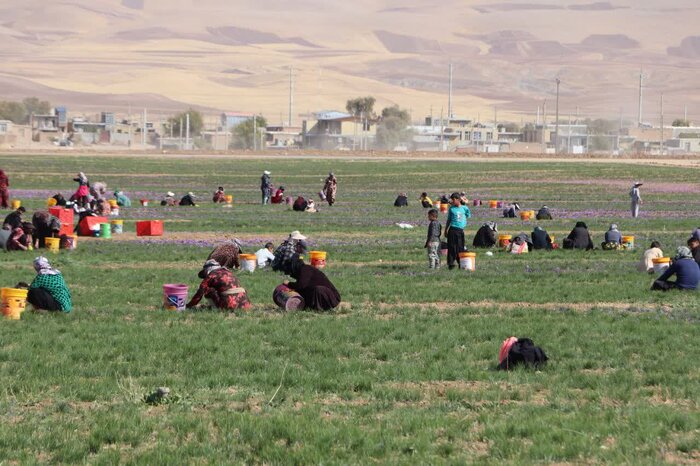 پیگیری ارتقای بخش فیروزآباد و رفع مشکلات آب منطقه در دستور کار فرمانداری کرمانشاه است