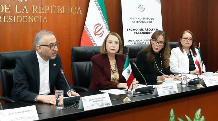 استقبال رئیس مجلس سنای مکزیک از تقویت همکاری‌های پارلمانی با ایران 