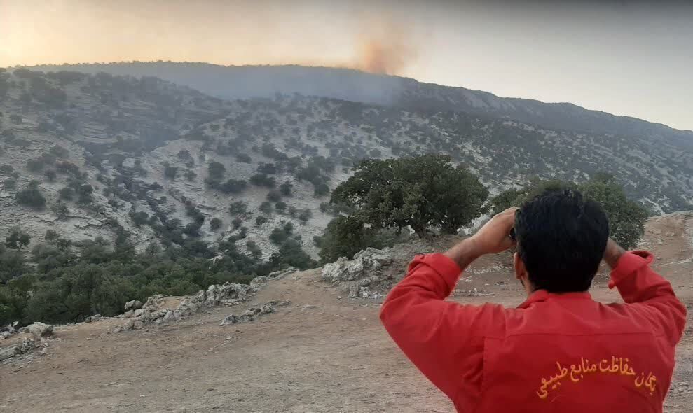 سطح آتشسوزی مراتع بوشهر ۹۰ درصد کاهش یافت سطح آتشسوزی مراتع بوشهر ۹۰ درصد کاهش یافت