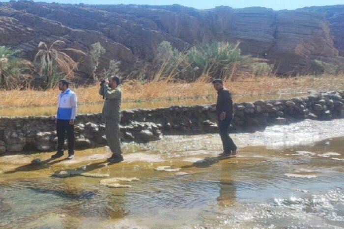 پایش آبگیرهای تالاب جازموریان؛ گامی موثر برای حفظ سلامت زیستبوم