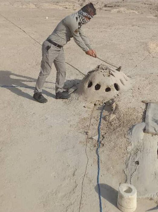 ۳ متخلف صید پرندگان شکاری در تنگستان دستگیر شدند