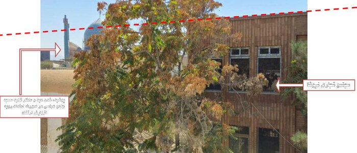 بدعتی که سر «میدان نقش جهان» را بر باد میدهد