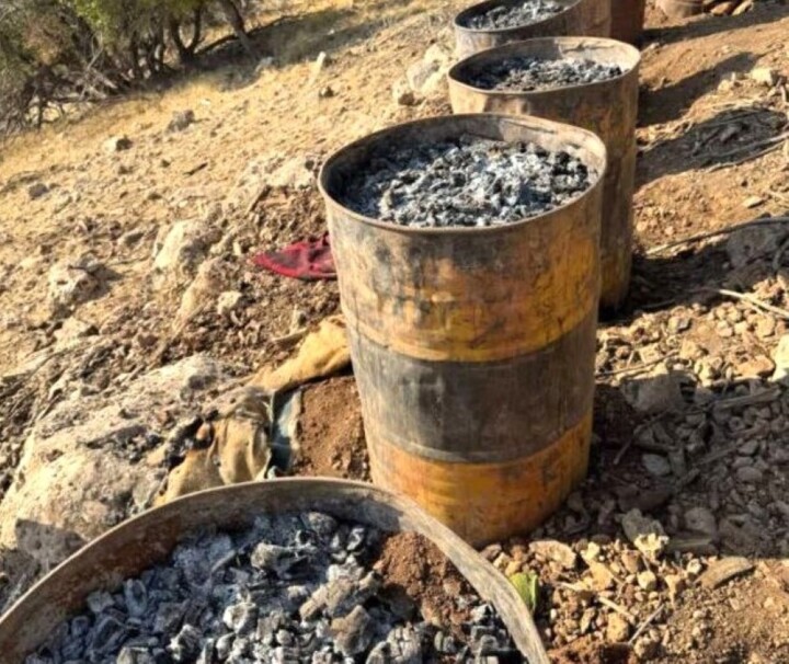 قصابی بلوطها؛ زخمهای غفلت بر تَن زاگرس