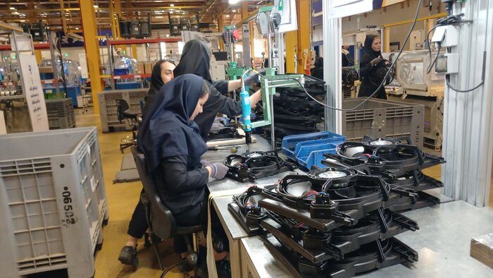 معاون سازمان بازرسی: مشکلات ۱۰۰ واحد تولیدی با پیگیری ما حل شد +فیلم