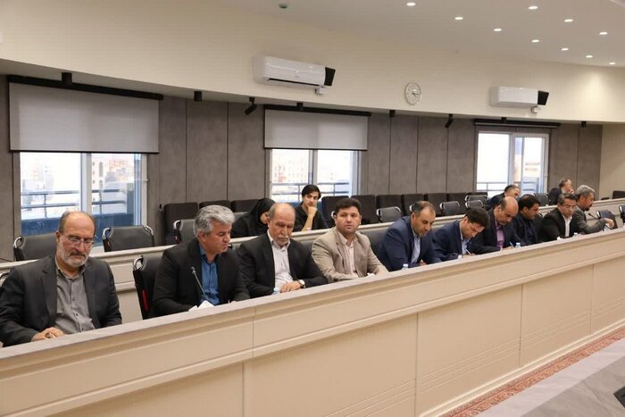 ساماندهی کارگزاران مرزنشین و کولبری خراسان جنوبی در مراحل پایانی است