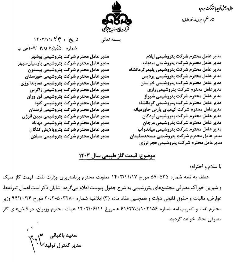 نرخ خوراک گاز پتروشیمیها، فلزیها و سیمانیها برای سال ۱۴۰۴ اعلام شد