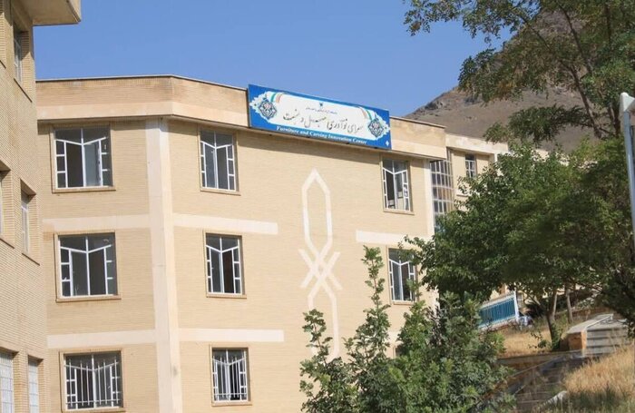 هسته‌های فناور سرای نوآوری ملایر؛ از طراحی مبلمان تا تولید ثروت