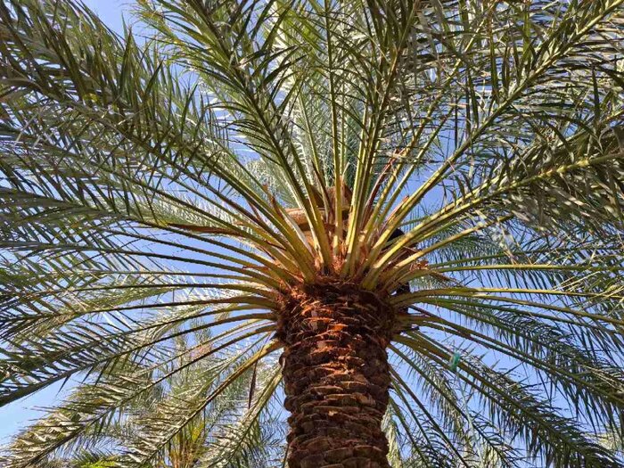 تکمیل طرحهای اقتصادی ؛ خواسته جوانان کهگیلویه و بویراحمد از رییس جمهور