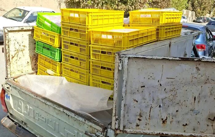 کشف کارگاه متخلف بستهبندی گوشت در غرب پایتخت