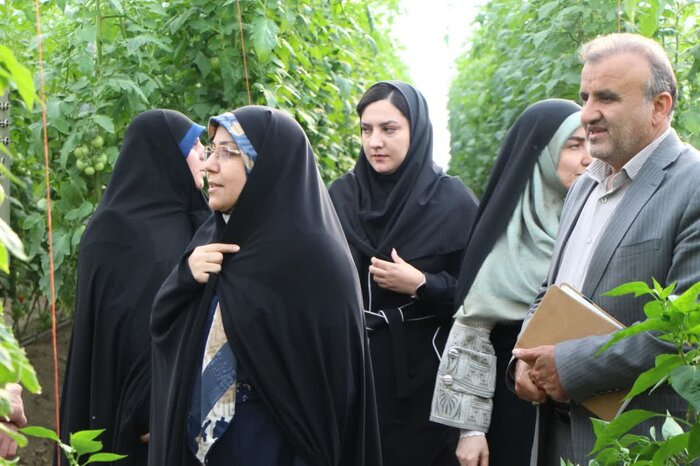 فیلم|بازدید مشاور وزیر جهاد کشاورزی از کارگاه‌های بانوان کارآفرین ملایری