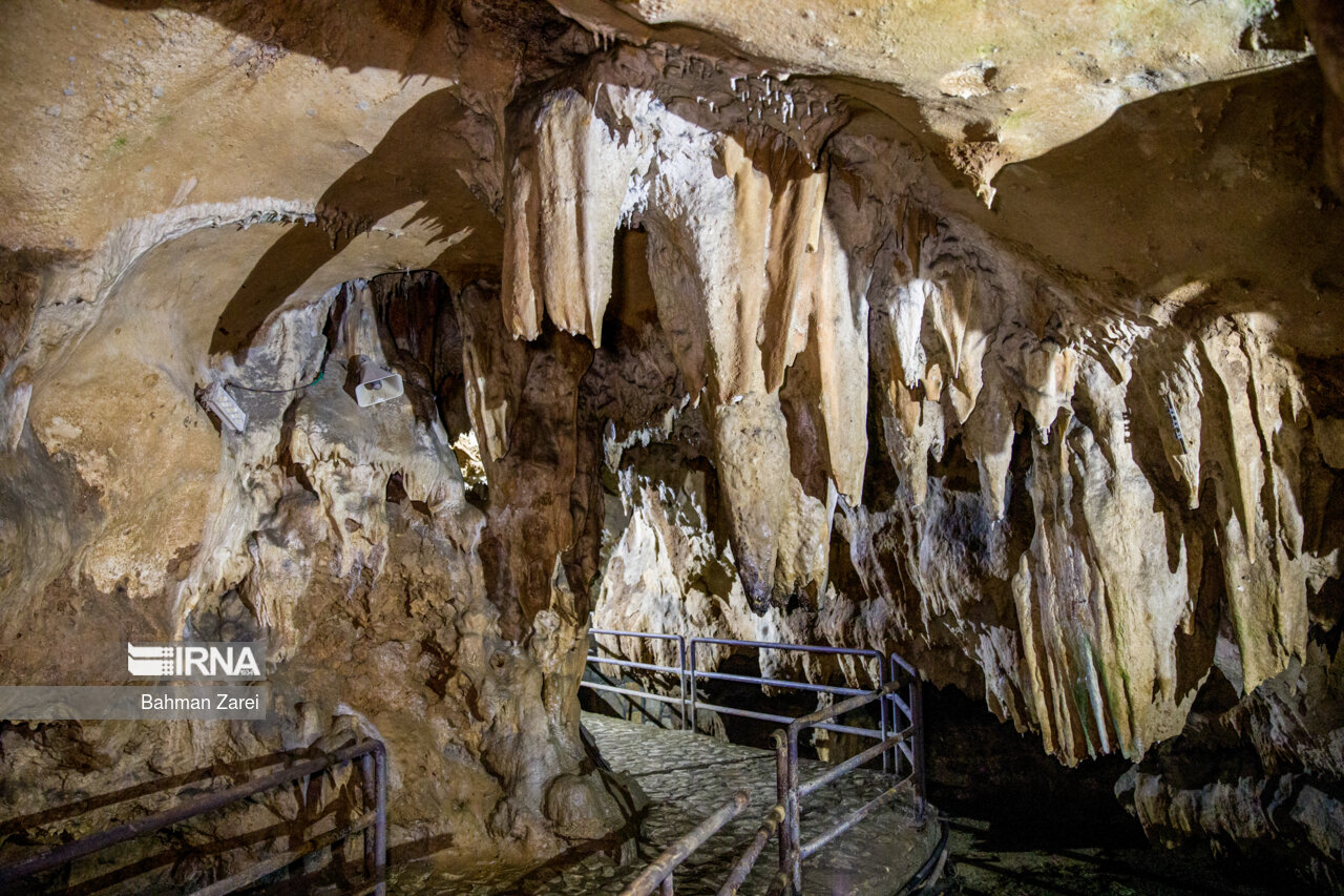 پویش «کلاهها روی زمین»/ حمایت غارنوردان از خواب زمستانی خفاشها