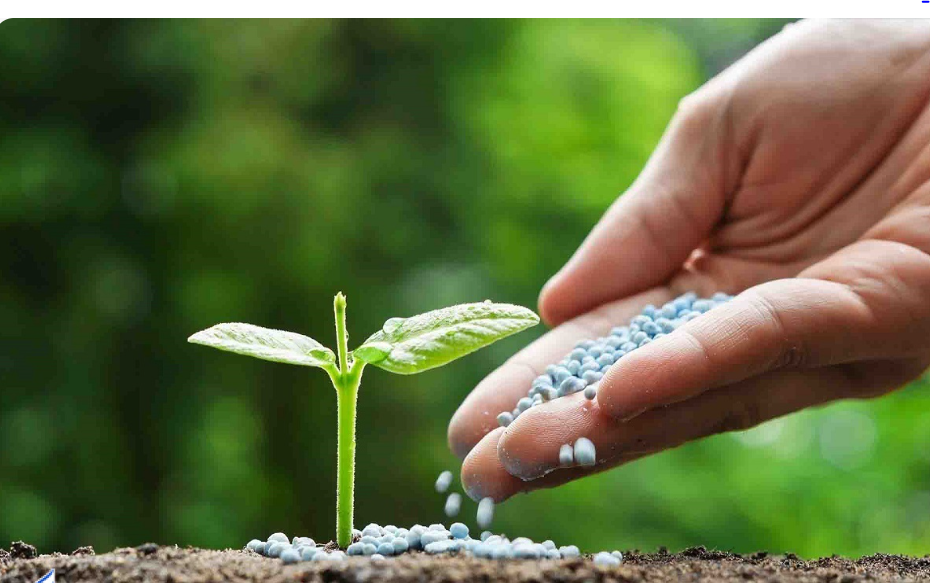 طراحی محصولی جدید برای کاهش نیترات در کشاورزی و مکملهای دام و طیور