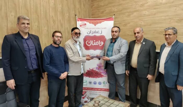 شکوفایی طلای سرخ وامنان با حذف واسطه‌ها