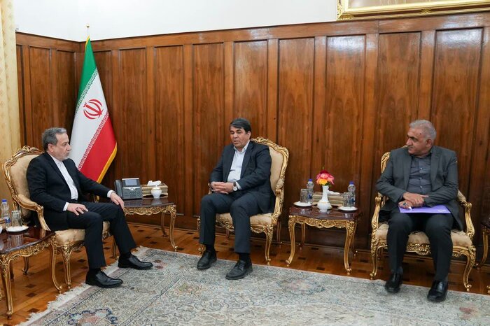 دیدار مسئولان کرمان با رئیس‌ جمهور؛ تفویض اختیار تا تقویت روابط خارجی