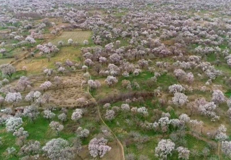 ثبت جهانی باغستان سنتی قزوین به عنوان یکی از نظامهای میراثی کشاورزی
