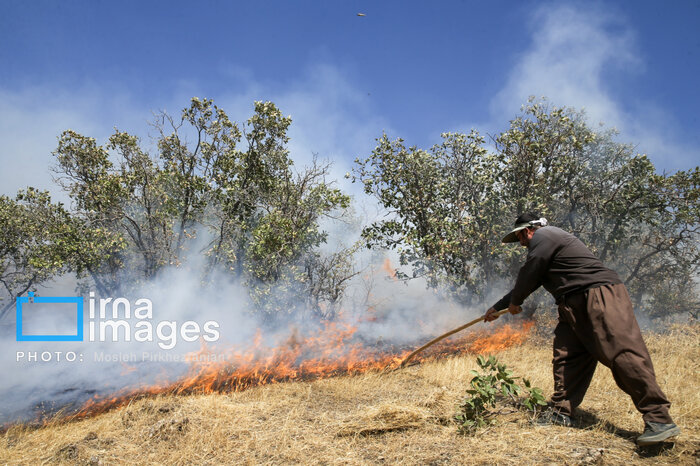 شهیدان سبز؛ روایتی از ایثار در آتش و وعدههایی که به درازا کشید