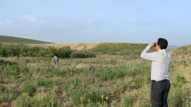 قرقاول‌ها؛ آواز رنگ‌ها در نوار مرزی اردبیل