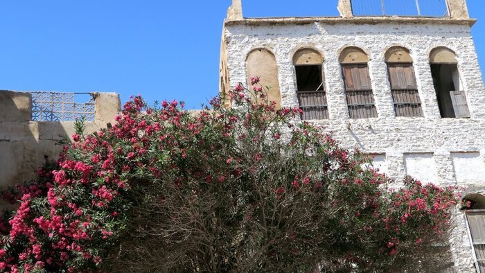 گنجینه بافت تاریخی بوشهر و ضرورت جهانی شدن