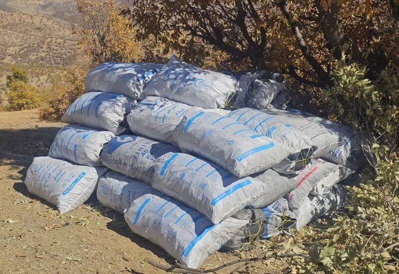 محموله ۲۲تنی زغال بلوط در الیگودرز توقیف شد