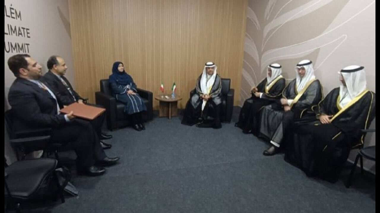 منافع ملی کشورهای دارای منابع طبیعی حفظ شود