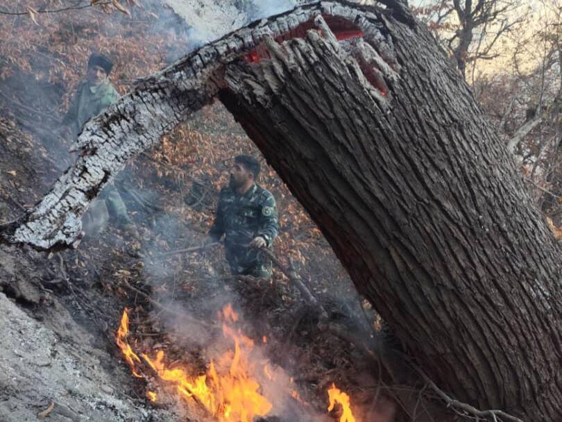 آتش دوباره در جنگل چالوس شعله‌ور شد