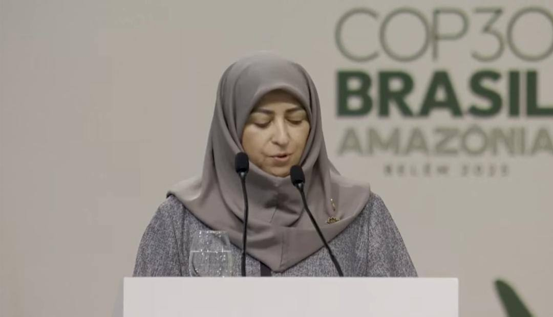 ایران با وجود تحریم‌ها به تعهدات اقلیمی خود پایبند است/کاهش۱۰ میلیارد مترمکعب گازگلخانه‌ای