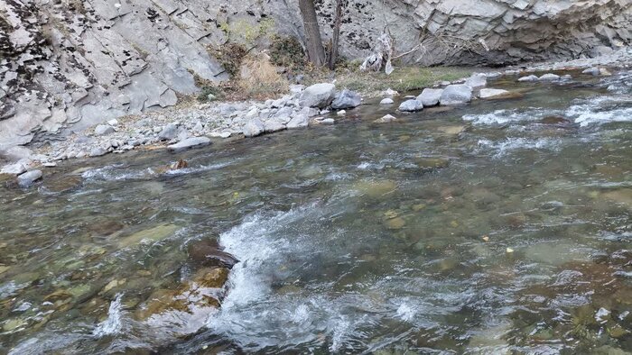 زنگ خطر کم‌آبی در کرج؛ سد و رودخانه در آستانه خشکی 4