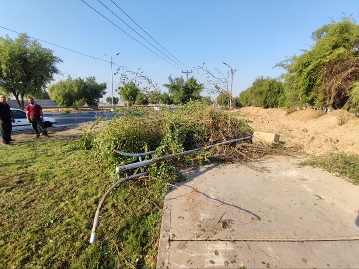 شهردار: حفاری غیراصولی به بوستان گل نرگس دزفول آسیب جدی زد