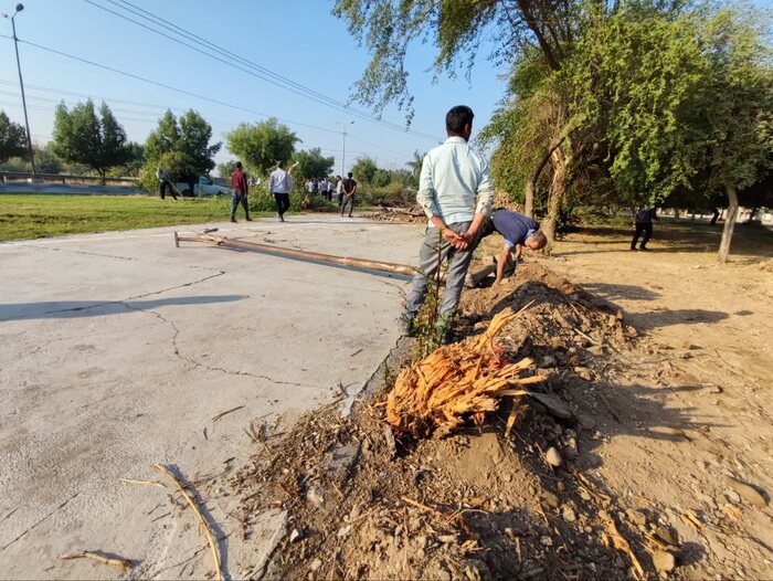 شهردار: حفاری غیراصولی به بوستان گل نرگس دزفول آسیب جدی زد