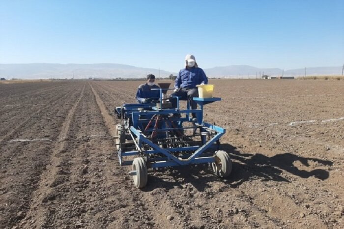 آبان بی عطر باران