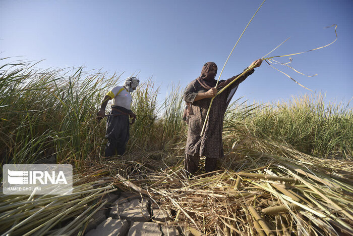 شتاب توسعه در روستای «بهمنی» میناب؛ گام‌های تازه برای رونق حصیربافی