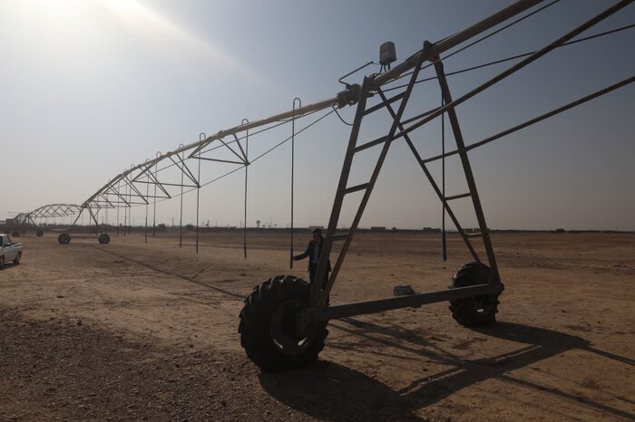 بهار کشاورزی در زمستان ایلام؛ افتتاح ۲۳ طرح کلان با اشتغالزایی ۹ هزار نفر
