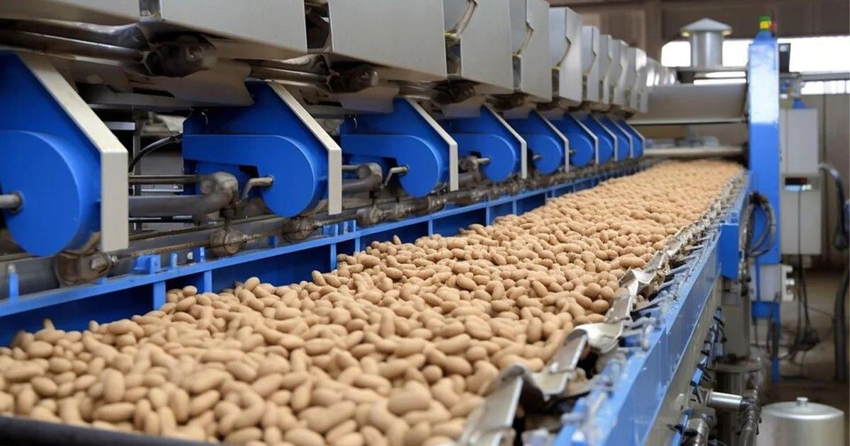 تولد یک برند؛ وقتی پشتکار زنانه چرخ اقتصاد را به حرکت درمی‌آورد