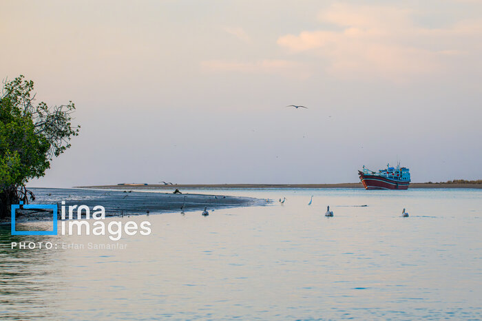 سیریک؛ نگینی پنهان در نوار ساحلی مَکُران