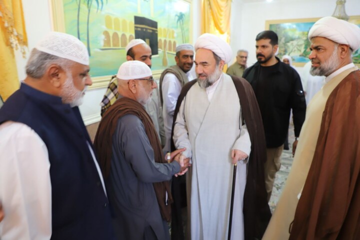 آیتالله محامی: توسعه بدون پیوست فرهنگی و مشارکت مردم پایدار نخواهد بود