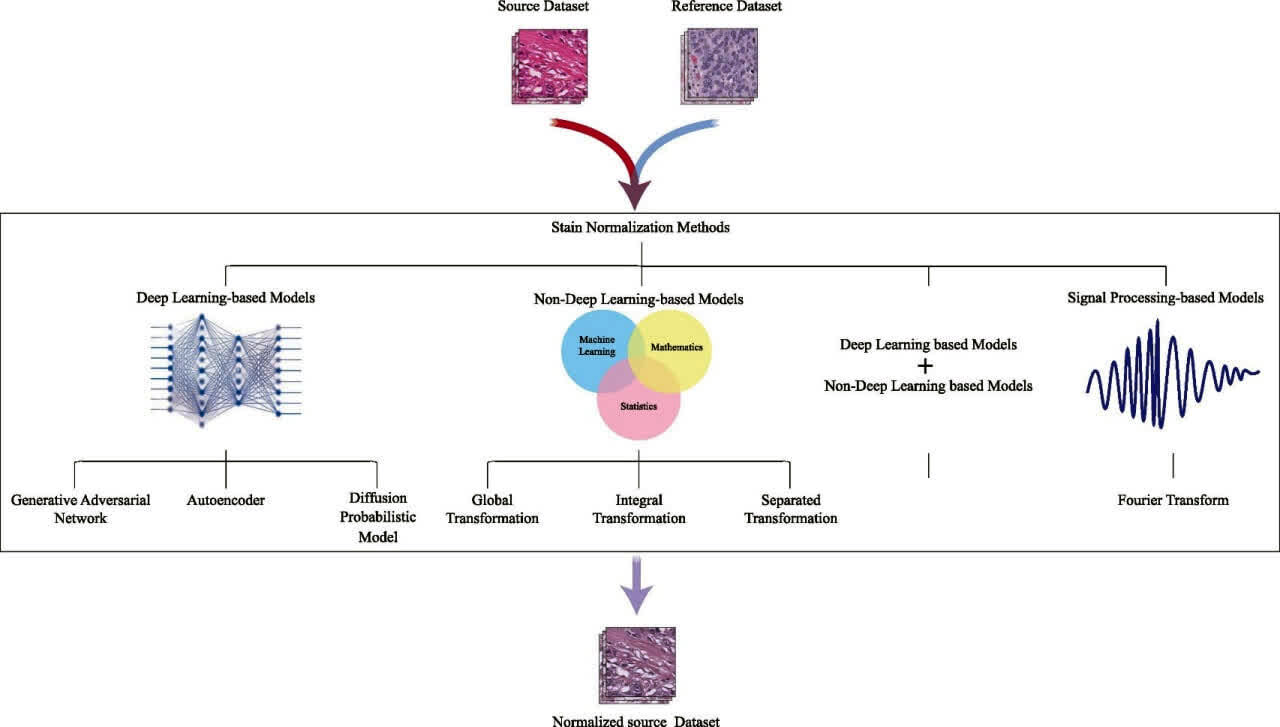 گام جدید محققان دانشگاه تهران در تحلیل داده‌های زیستی و تصاویر پاتولوژی 